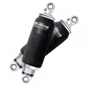 Progressive Automotive HQ Rear Shockwaves Ride Tech HQ Rear Shockwaves shown